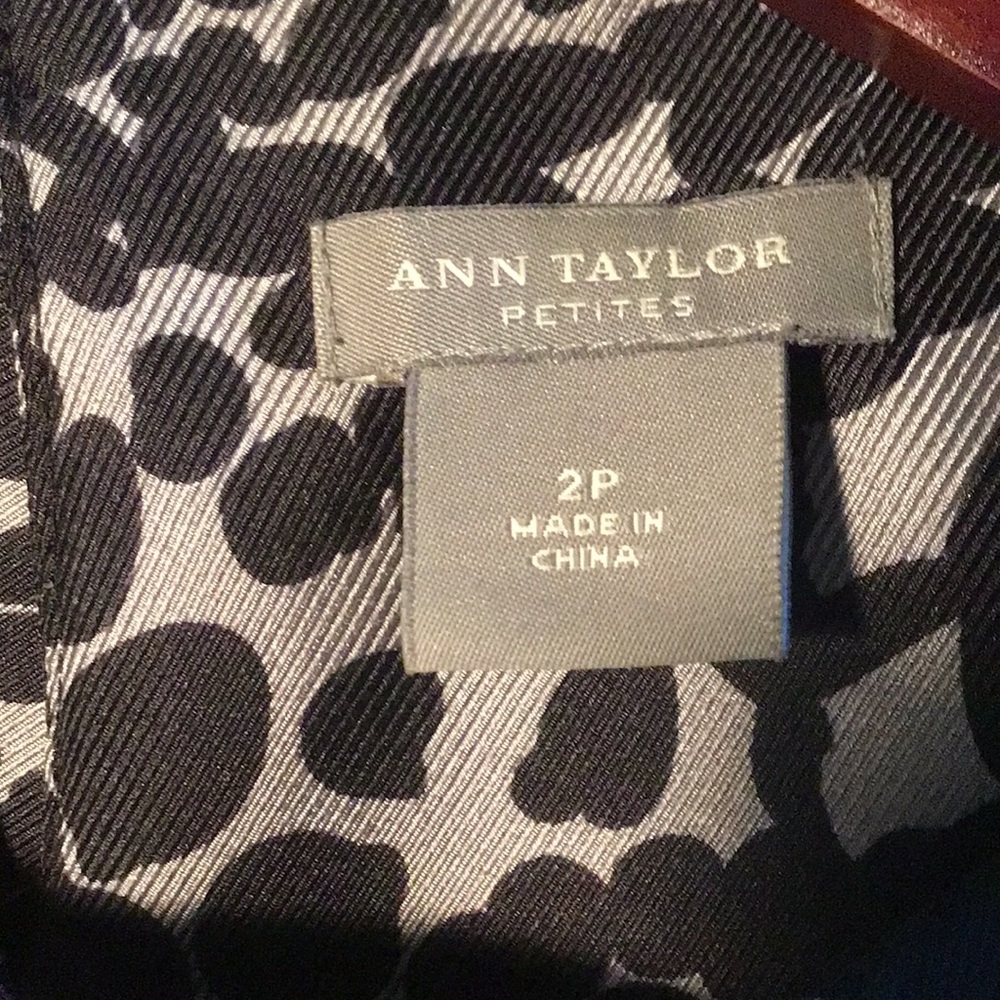 ANN TAYLOR Petites, 100% Silk Blouse